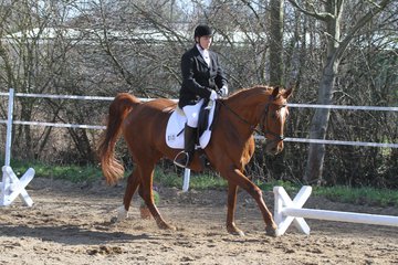 Bild 164 - WBO-Turnier am 9.4.11